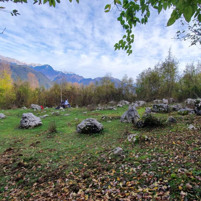 vesna-zvegla-krog-Belinov-tron